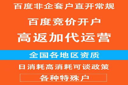 百度推广排名提升方案：某科技公司的成功经验